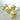 Pistachio Cupcakes